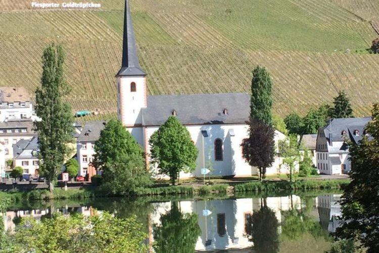 Restful Apartment In Neumagen Near River Moselle Esterno foto